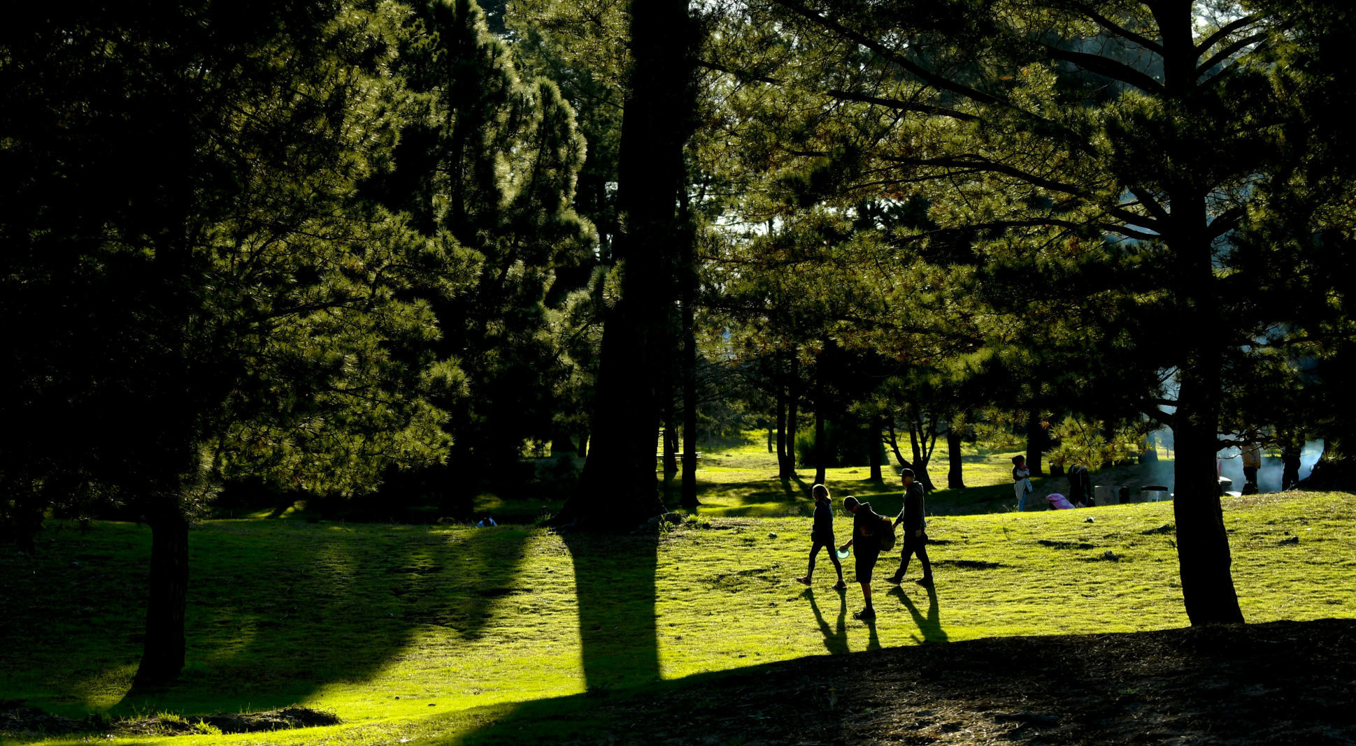 122619 Disc golf 03.jpg